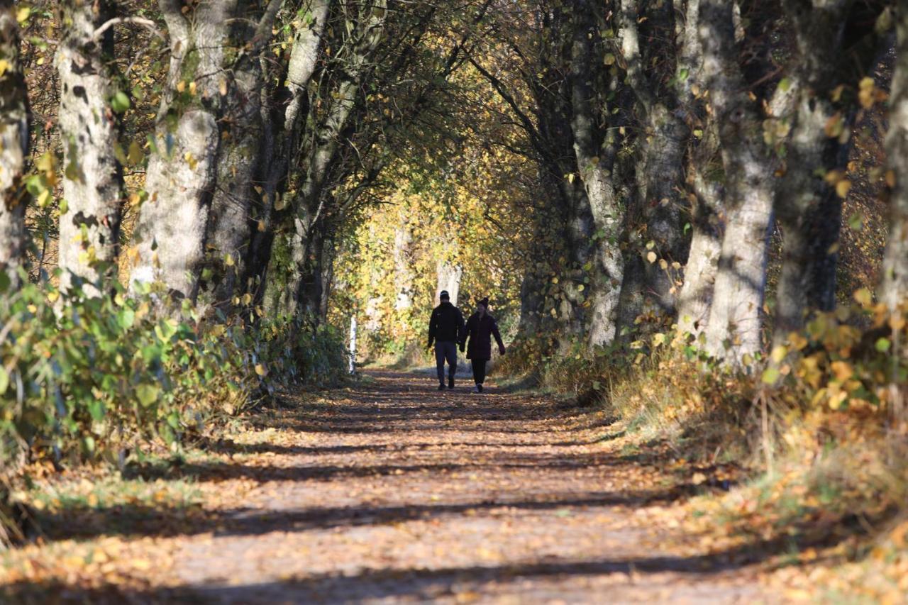 Appartamento Garden Studio In Biggar Esterno foto